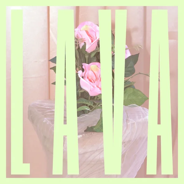 LAVA