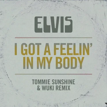 I Got a Feelin’ in My Body (Tommie Sunshine & Wuki Remix)