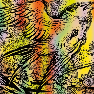 One Swallow Doesn’t Make A Summer Part 7 by Various Artists - album cover