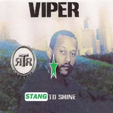 Stang 2 Shine