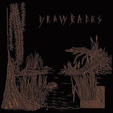 DRAWBACKS