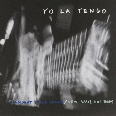President Yo La Tengo / New Wave Hot Dogs