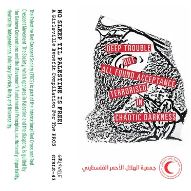 No Sleep Til Palestine Is Free by Various Artists - album cover