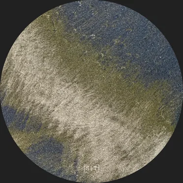 Flors del Calvari LP by Vessant - album cover