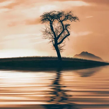 You've Made It by Malphas - album cover