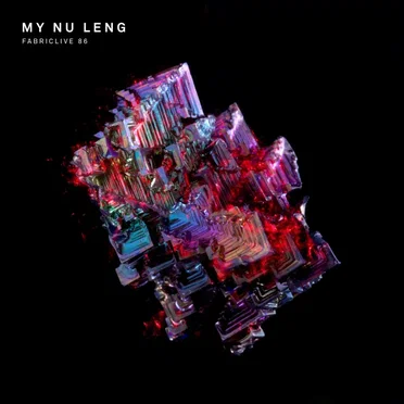 FabricLive 86: My Nu Leng