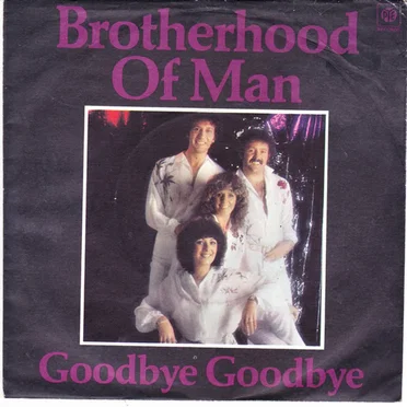 Goodbye Goodbye / Better to Have Loved by Brotherhood of Man - album cover