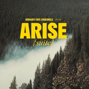 Arise (Suite) by Amaury Faye - album cover