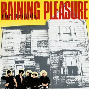 Raining Pleasure by The Triffids - album cover