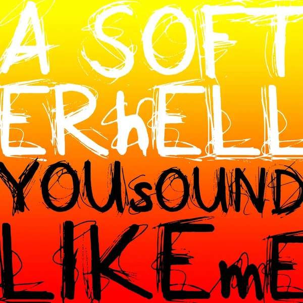 You Sound Like Me