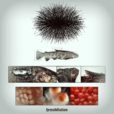 HEMODILUTION