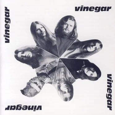 Vinegar by Vinegar - album cover
