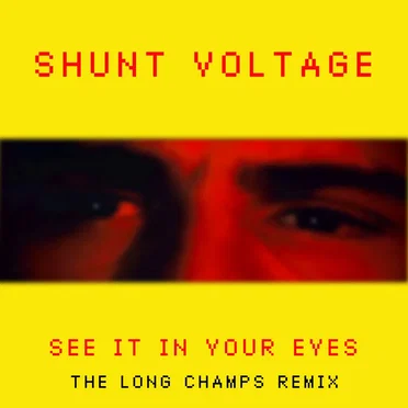 See It In Your Eyes (The Long Champs Remix)
