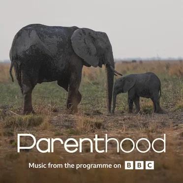 Go Steady (from BBC’s Parenthood)
