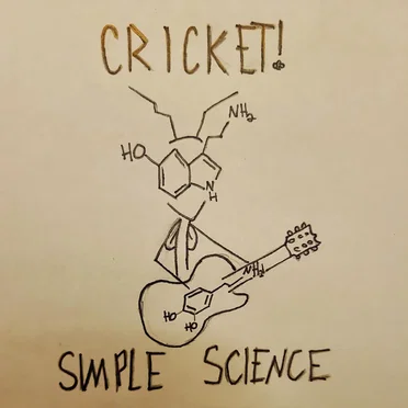 Simple Science