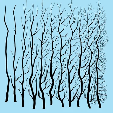 Tender Filaments EP
