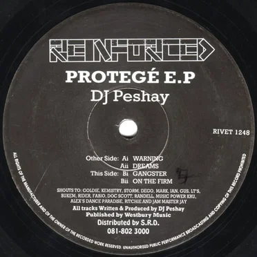 Protegé E.P