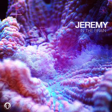 In the Brain by Jeremy - album cover