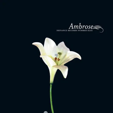 Ambrose by Ambrose - album cover