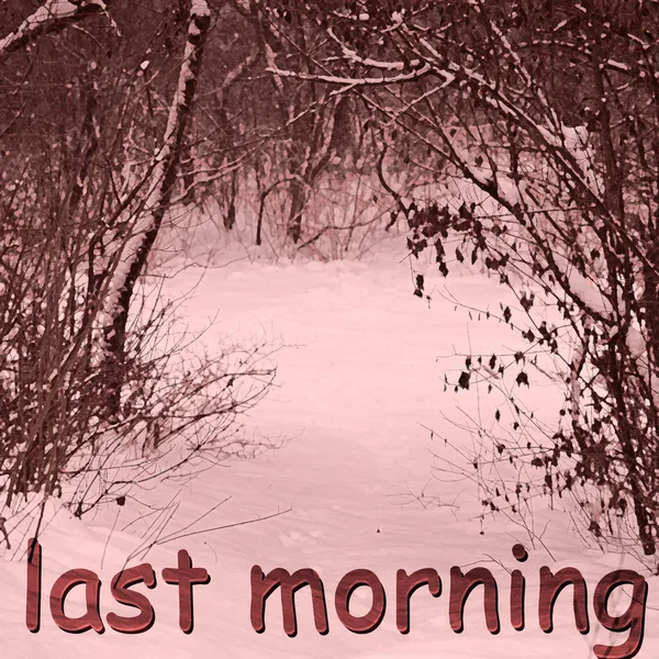 last morning