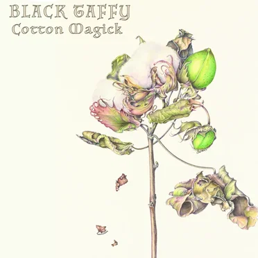 Black Taffy