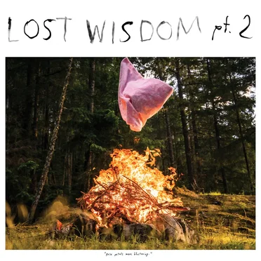 Lost Wisdom, pt. 2