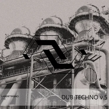 Dub Techno v.5 by Various Artists - album cover
