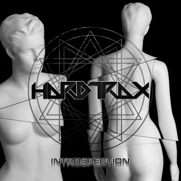 Introspection