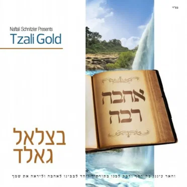 Ahavu Rabu by Tzali Gold - album cover