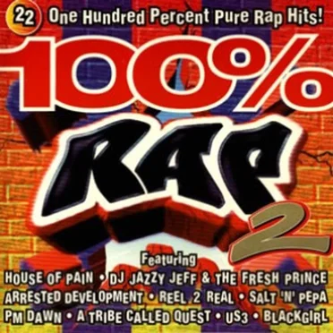 100% Rap Hits, Volume 2 by Various Artists - album cover