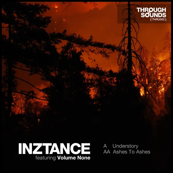Understory / Ashes to Ashes