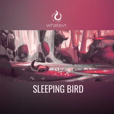 sleeping bird by Whatevr. - album cover