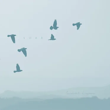 Soar by Michael Logozar - album cover