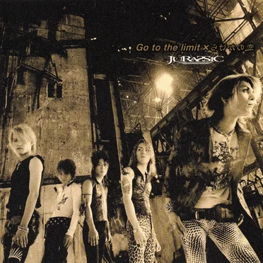 Go to the limit / 恋のかけら