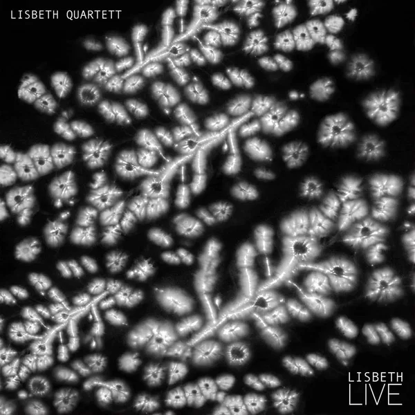 Lisbeth (Live)
