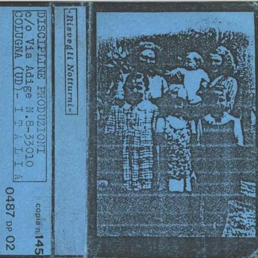 Risvegli Notturni by Various Artists - album cover
