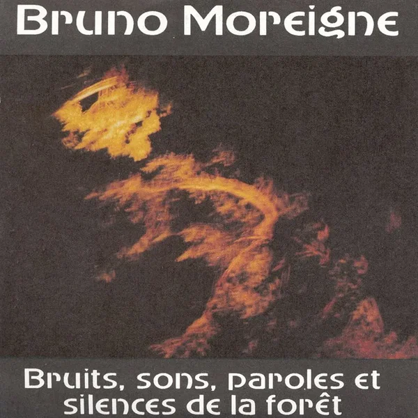 Bruits, sons, paroles et silences de la forêt