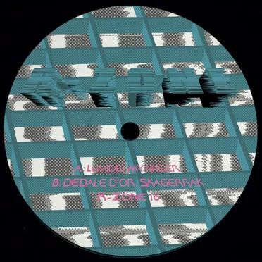 R‐Zone 16
