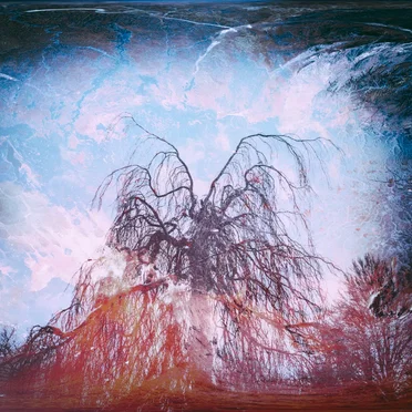 The Long Way Home by On Wings of Wax - album cover