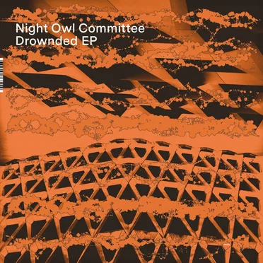 Night Owl Committee