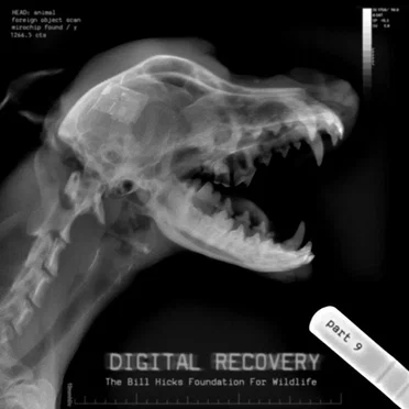 Digital Recovery, Part 9 by Various Artists - album cover
