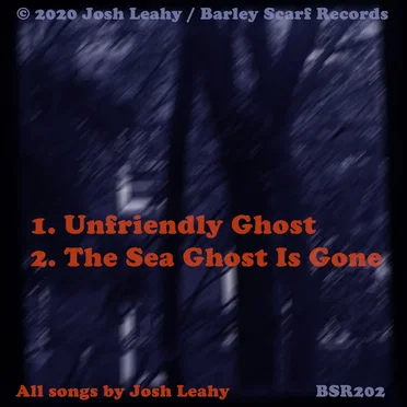 Unfriendly Ghost