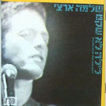 לילה לא שקט