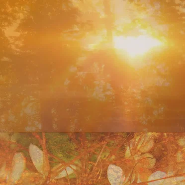 Sunrays