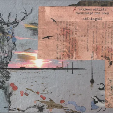 Duskscape Not Seen by Various Artists - album cover