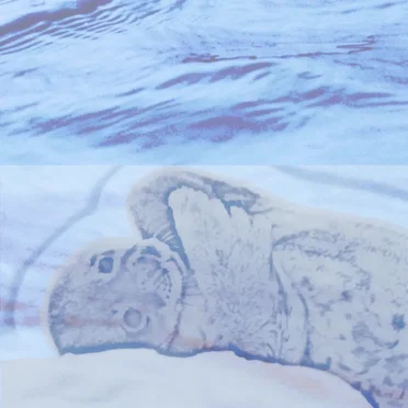 fixation without resolve