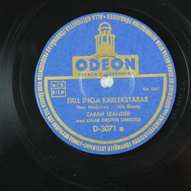 Fäll inga kärlekstårar / Romans