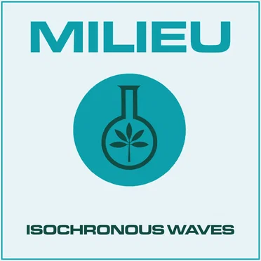 Isochronous Waves