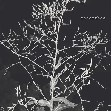 cacoethes by gravedream - album cover