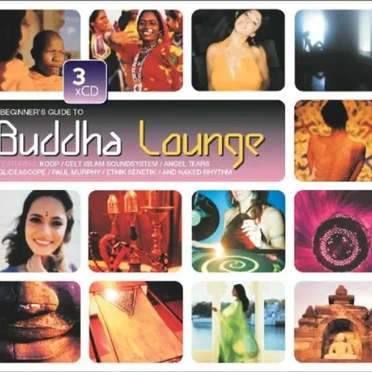 Beginner's Guide to Buddha Lounge by Various Artists - album cover